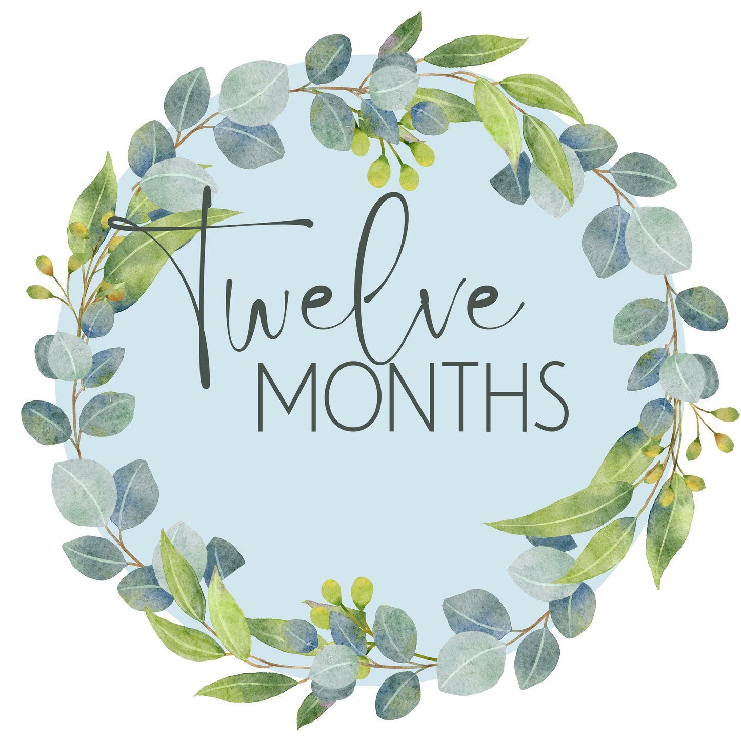 Free Printable Baby Milestone Card – twelve months
