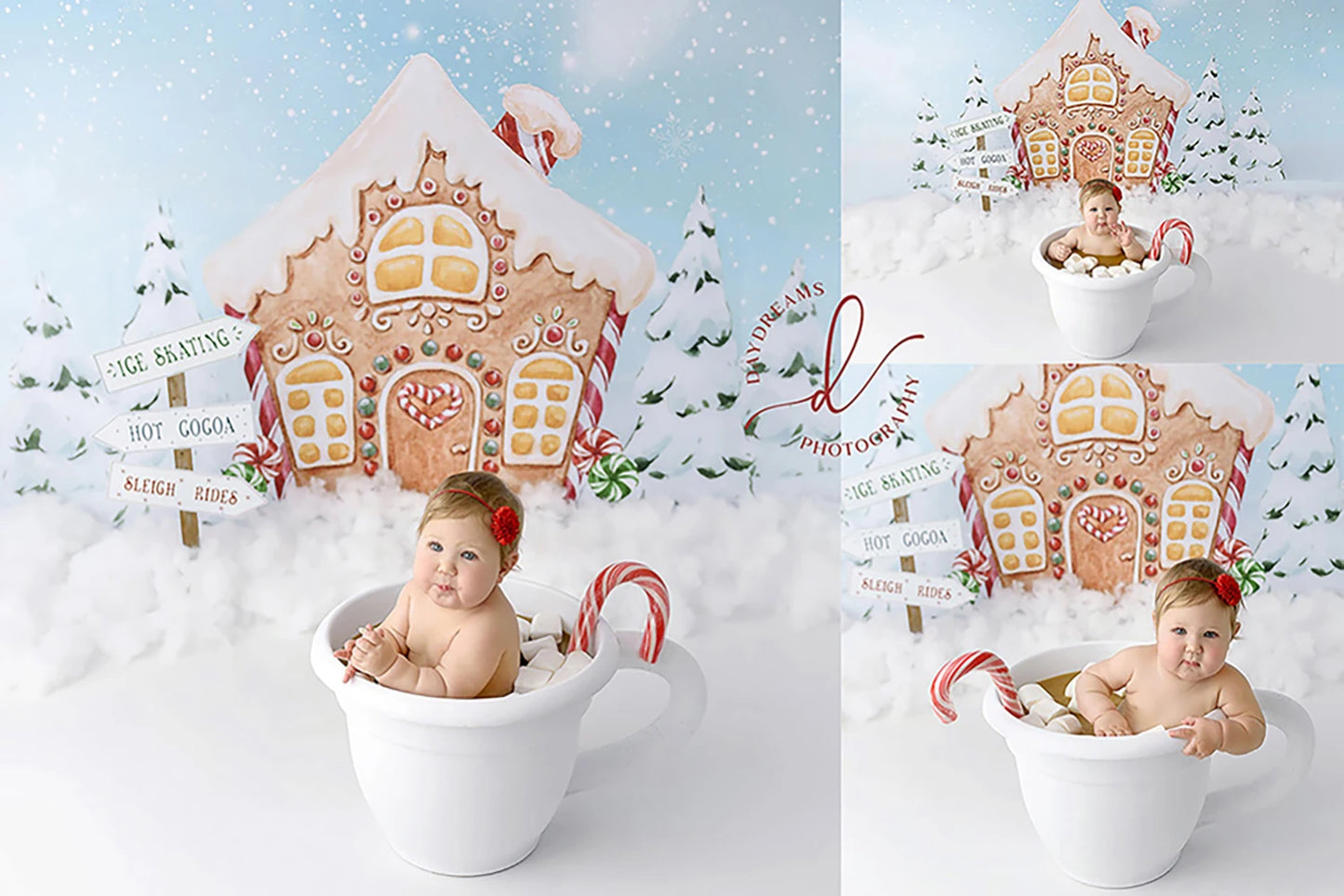 KMK - Winter Gingerbread House Backdrop