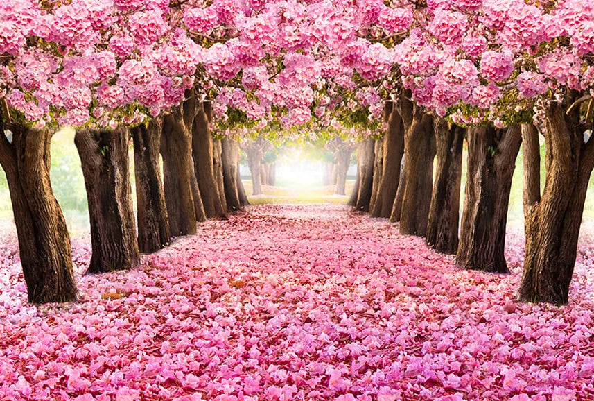KMK - Cherry Blossom Forest backdrop